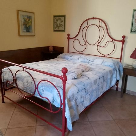 B&B Le Buche Casa Storica Canino Exteriör bild