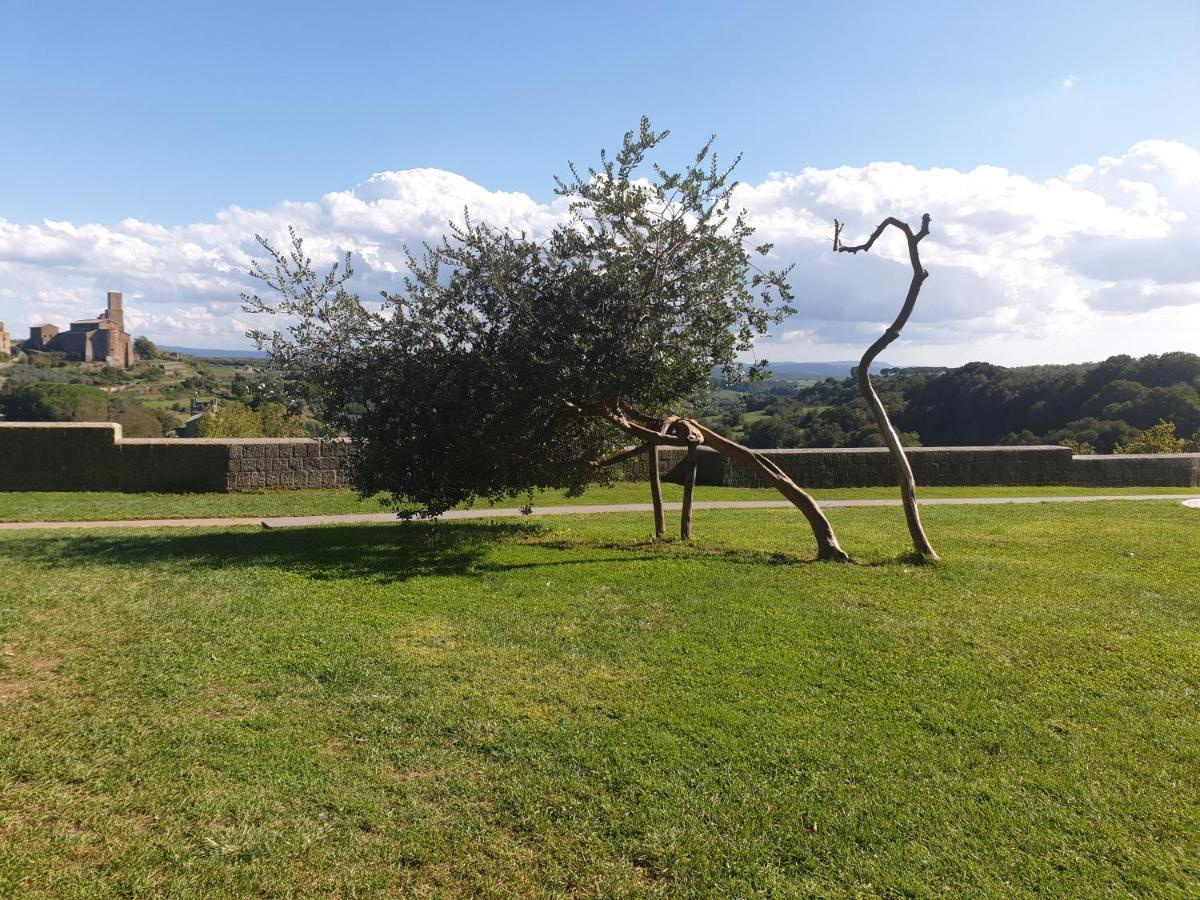 B&B Le Buche Casa Storica Canino Exteriör bild